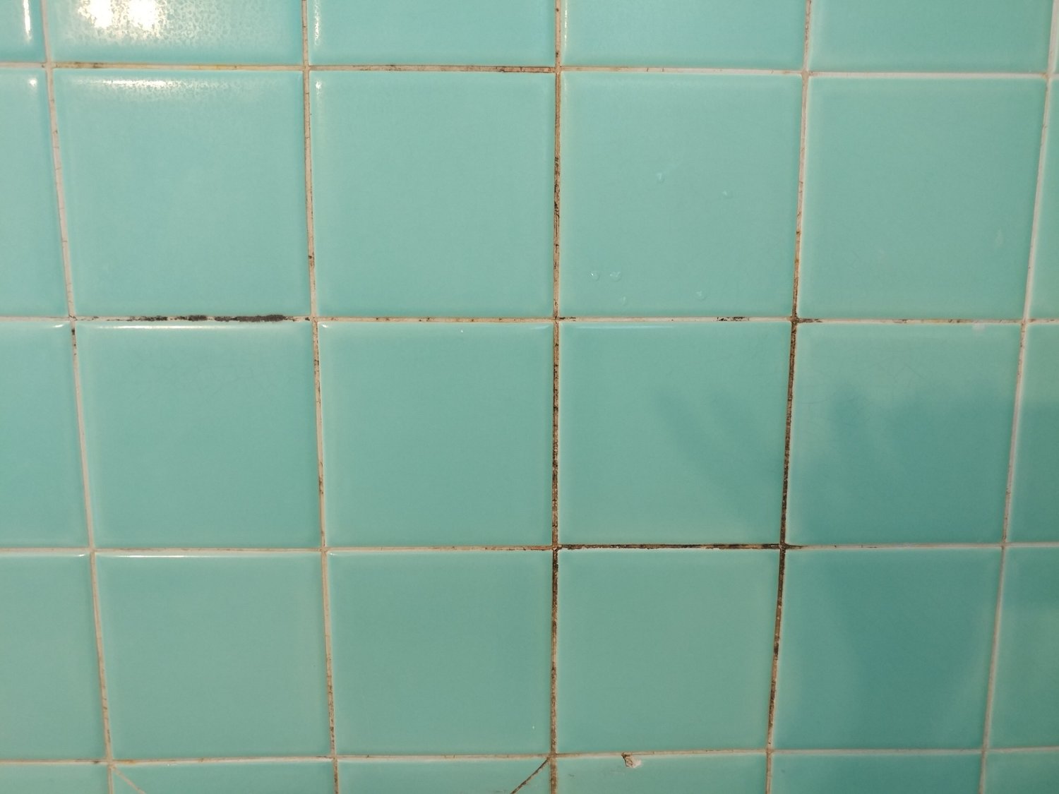 Shower Tile - Before